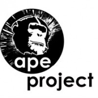 APE Project CIC avatar image